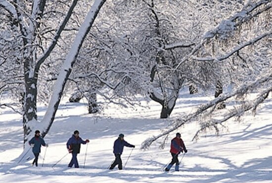 Cross-country skiing at Bousquet Mountain