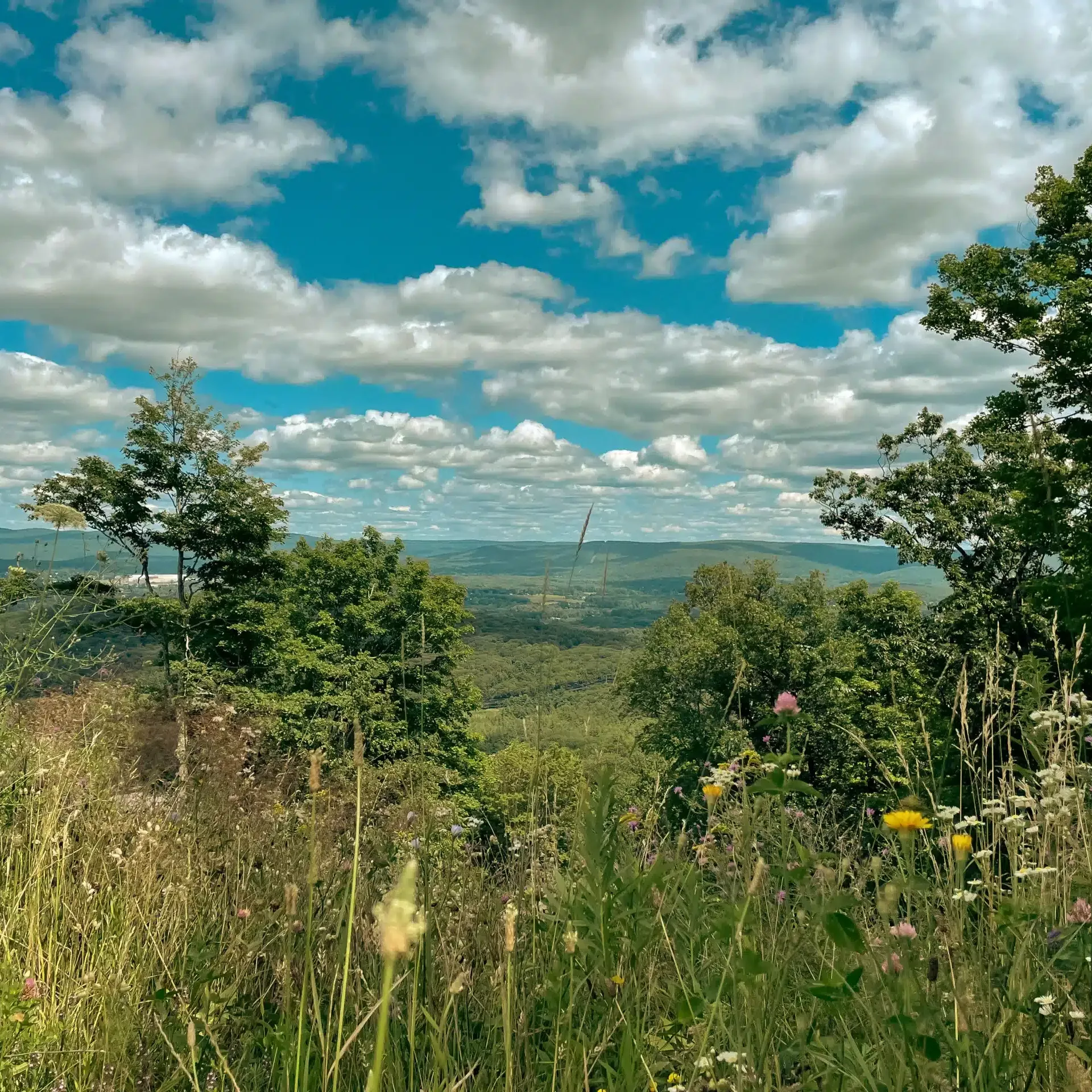 Mountain top view from the hiking trails at Bousquet Mountain